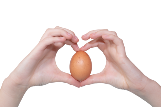 Woman’s hands placed in a heart shape with a organic farm egg, isolated on white background. Chicken's egg from ecologically clean areas