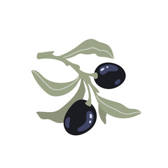 Olive tree branch with ripe fruits and leaves. Flat vector graphics.