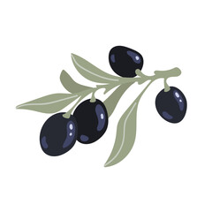 Olive tree branch with ripe fruits and leaves. Flat vector graphics.