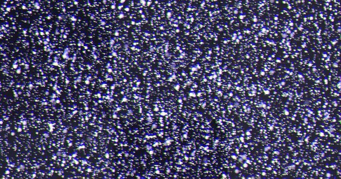 VHS defects, artifacts and noise.	