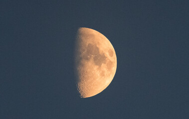 Mond
