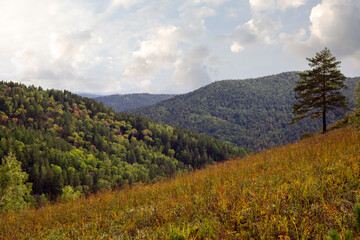 Naklejka premium Autumn landscape, forested mountains, cloudy sky.