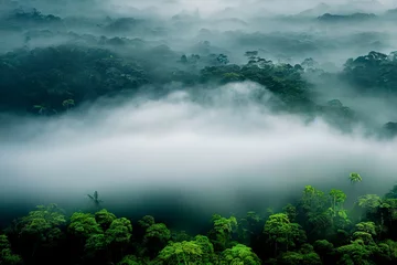 Nebelige Landschaft im Dschungel. Nebel und Wolke Berg tropische Tallandschaft. Luftaufnahme © Viks_jin