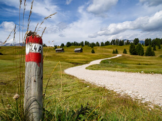 Mountain bike trail in the Dolomites