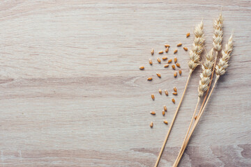 spikelets of wheat and grain on a wooden table
