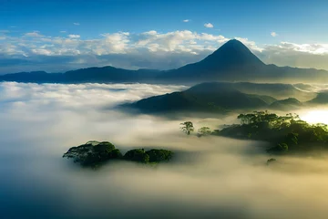 Nebel und Morgenlicht im Dschungel. Schöne neblige Morgenlandschaft. Luftaufnahme © Viks_jin