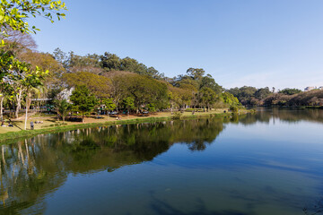 Linda paisagem do parque publico com muitas arvores e contato com a natureza 
