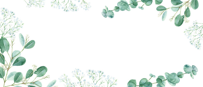Floral watercolor banner. Green eucalyptus and white gypsophila branches isolated on white background. rustic romantic style. Floral design frame. Can be used for cards, wedding invitations, banners