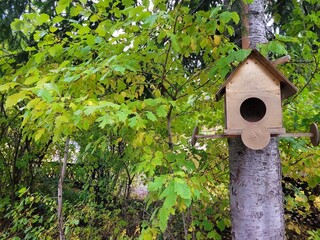birdhouse on tree