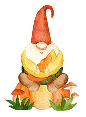 Scandinavian gnome and pumpkin. Watercolor hand drawn - 530401051