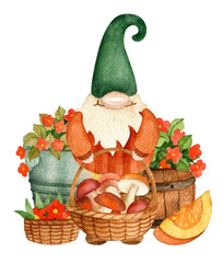 Scandinavian gnome and autumn harvest. Watercolor hand drawn - 530401058