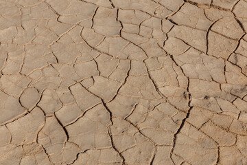 dry cracked earth texture. Mosaic pattern of sunny dried earth soil. soil background.