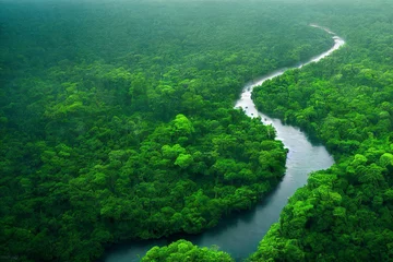 Papier Peint photo autocollant Brésil Aerial view of the Amazonas jungle landscape with river bend