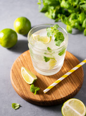 Mojito drink with fresh lemons. Refreshing cocktail with lime, lemon, mint and ice on gray background.