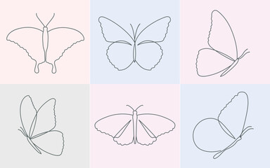 Butterfly line art drawing collection lined illustration 