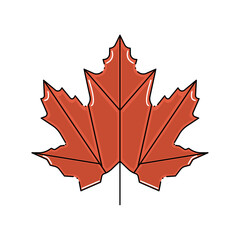 Isolated colored autumn leaf icon Vector