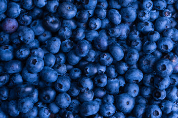 Fresh blueberry background. Texture blueberry berries close up.