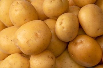 A group of fresh tasty potato as  background.