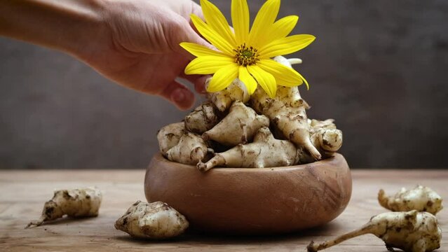 person hand put Jerusalem artichoke flower on plate with roots of fresh organic topinambur or jerusalem artichoke. Tubers of sunroot, sunchoke or earth apple. Diabetic friendly inulin food.