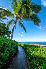 beautiful blue sky and beach scenes on secret beach oahu hwaii