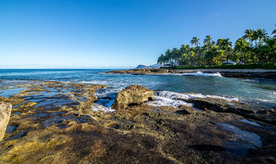 beautiful blue sky and beach scenes on secret beach oahu hwaii
