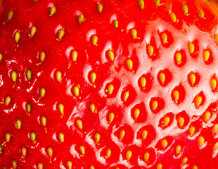 Closeup shiny juicy strawberry skin texture details vivid red background.