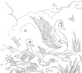 coloring book page with little sad ugly duckling looking at big beautiful swan - obrazy, fototapety, plakaty
