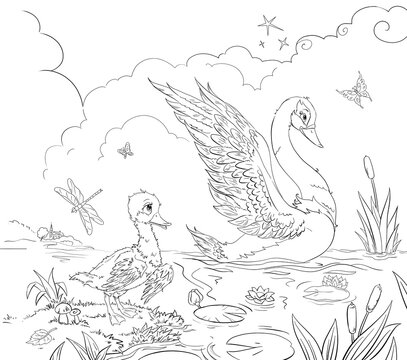 coloring book page with little sad ugly duckling looking at big beautiful swan