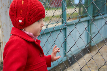 little girl standing on a mesh fence in autumn,a beautiful girl in a red coat, a child in autumn