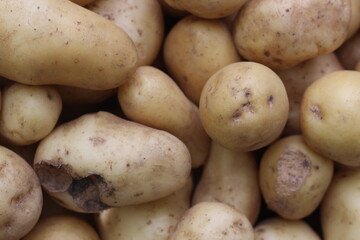 fruits potatoes eaten by pests close-up
