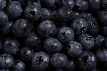 a heap of fresh ripe wet blueberries filling the frame, selective focus, top view, background