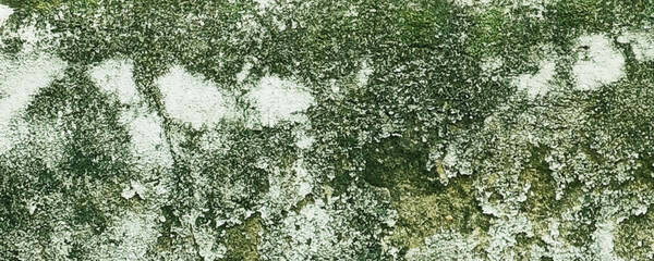 Weathered concrete grunge old wall texture background. You can use for Background, Texture, Wallpaper, template and the other site. 