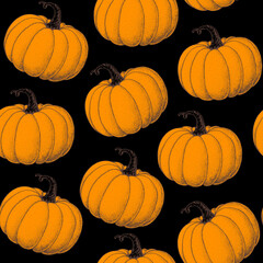 Pumpkin seamless pattern. Hand drawn background. Vector illustration. Color illustration. Pumpkin vegetable hand drawn backdrop.