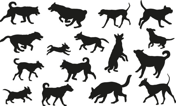 Group of dogs various breed. Black dog silhouette. Running, standing, walking, jumping, sniffing dogs. Isolated on a white background. Pet animals.