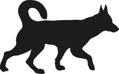 Black dog silhouette. Walking border collie puppy. Pet animals. Isolated on a white background.