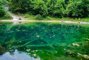 untouched lake formation in the forest , colorful forest landscapes , Suluklu lake , one of the national parks in Turkey