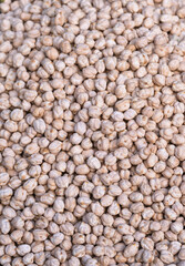 Background texture of dried chickpeas