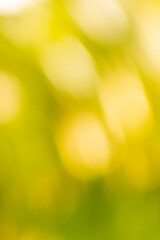 Obraz premium Yellow-green abstract background.