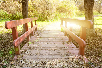 A wooden bridge in a picturesque landscape of wild nature is flooded with sunbeams, it has red railings, there are a lot of dry autumn leaves around it
