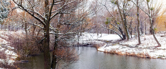 Winter park with snow-covered trees near a pond. The first snow on the shore of the lake
