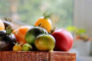 colored tomatoes ripe close-up selective focus, organic tomatoes
