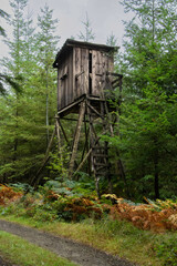 Fototapeta na wymiar Un mirador de chasse dans la forêt des Ardennes