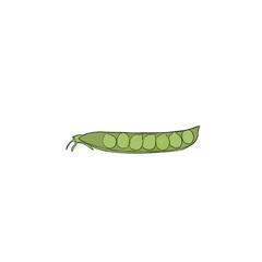 Fresh green pea pod with beans watercolor freehand illustration.. Horizontal design element with clipping path