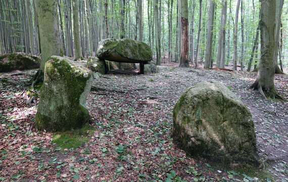 Grosssteingrab an der Waldhalle bei Sassnitz
