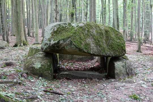 Grosssteingrab an der Waldhalle bei Sassnitz