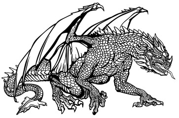 Western Dragon. Classic European mythological creature with bat-type wings. Sitting pose. Black and white. Graphic style vector illustration