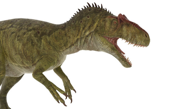 allosaurus