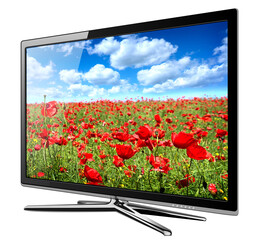 TV monitor icon isolated, flat screen lcd with wild flowers on screen illustration.