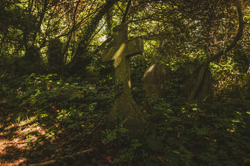 Gravestones in cemetery, Arnos Vale Cemetery