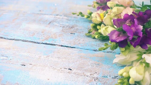 Bouquet of colorful dragon flowers drops on vintage wooden light blue surface. Slow motion.